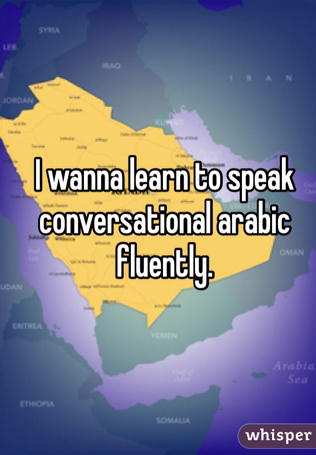 I wanna learn to speak conversational arabic fluently. 