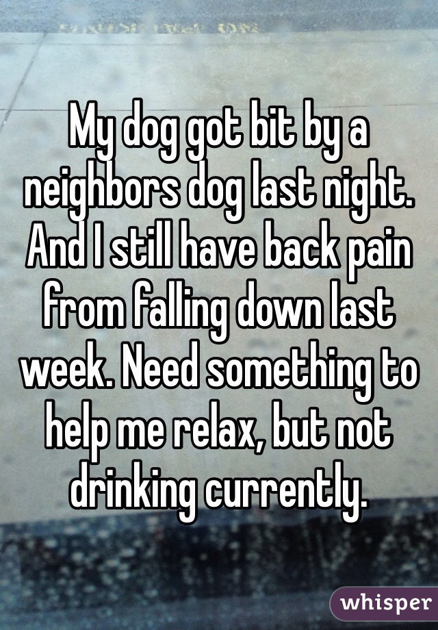 My dog got bit by a neighbors dog last night. And I still have back pain from falling down last week. Need something to help me relax, but not drinking currently. 