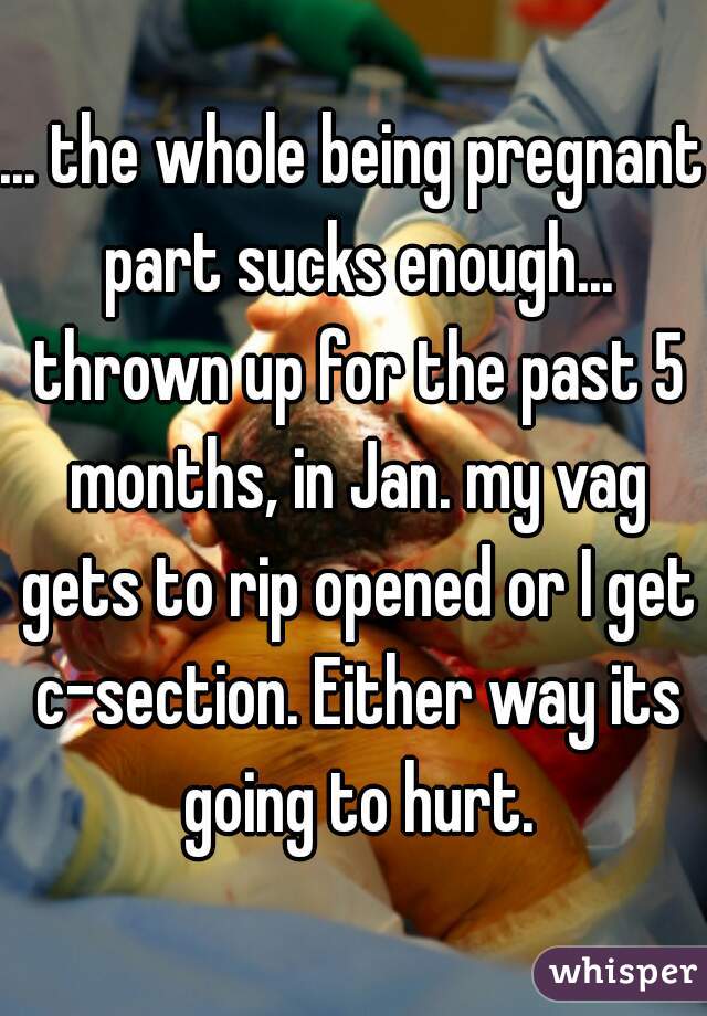 ... the whole being pregnant part sucks enough... thrown up for the past 5 months, in Jan. my vag gets to rip opened or I get c-section. Either way its going to hurt.
