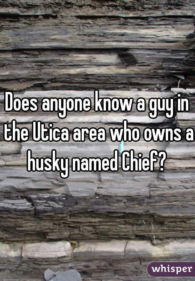 Does anyone know a guy in the Utica area who owns a husky named Chief? 
