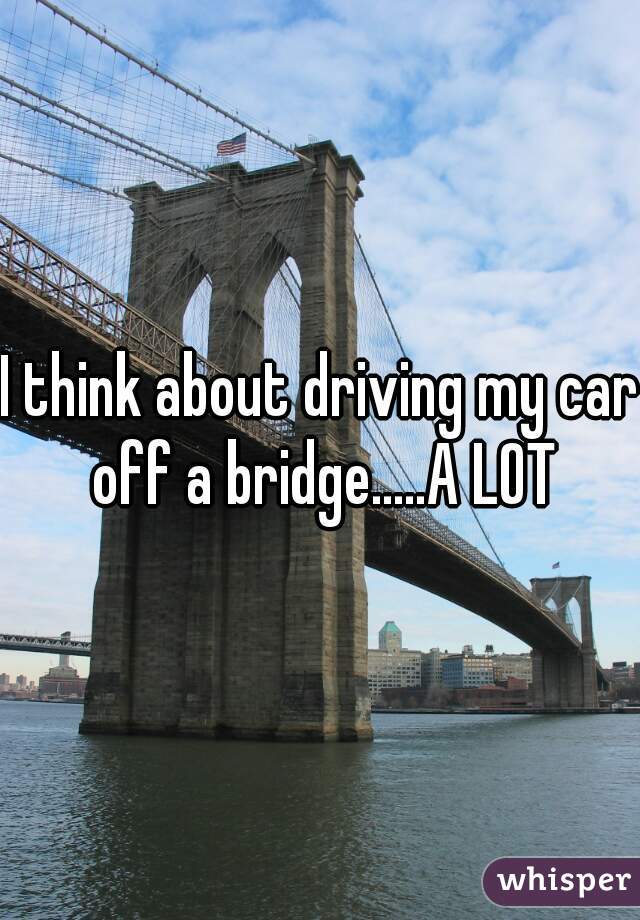 I think about driving my car off a bridge.....A LOT