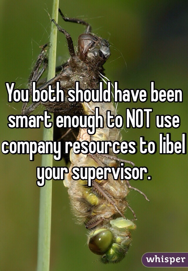 You both should have been smart enough to NOT use company resources to libel your supervisor. 