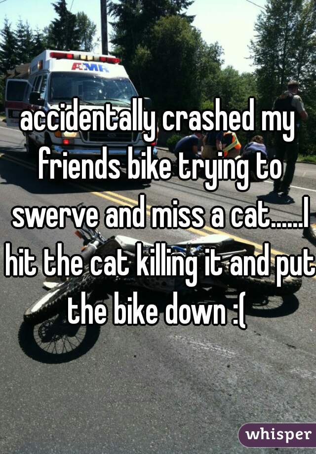 accidentally crashed my friends bike trying to swerve and miss a cat......I hit the cat killing it and put the bike down :( 