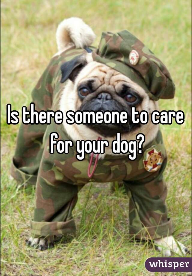 Is there someone to care for your dog?