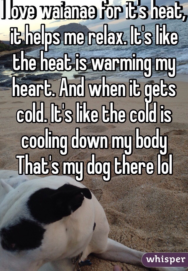 I love waianae for it's heat, it helps me relax. It's like the heat is warming my heart. And when it gets cold. It's like the cold is cooling down my body
That's my dog there lol