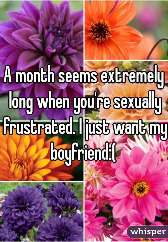 A month seems extremely long when you're sexually frustrated. I just want my boyfriend:( 