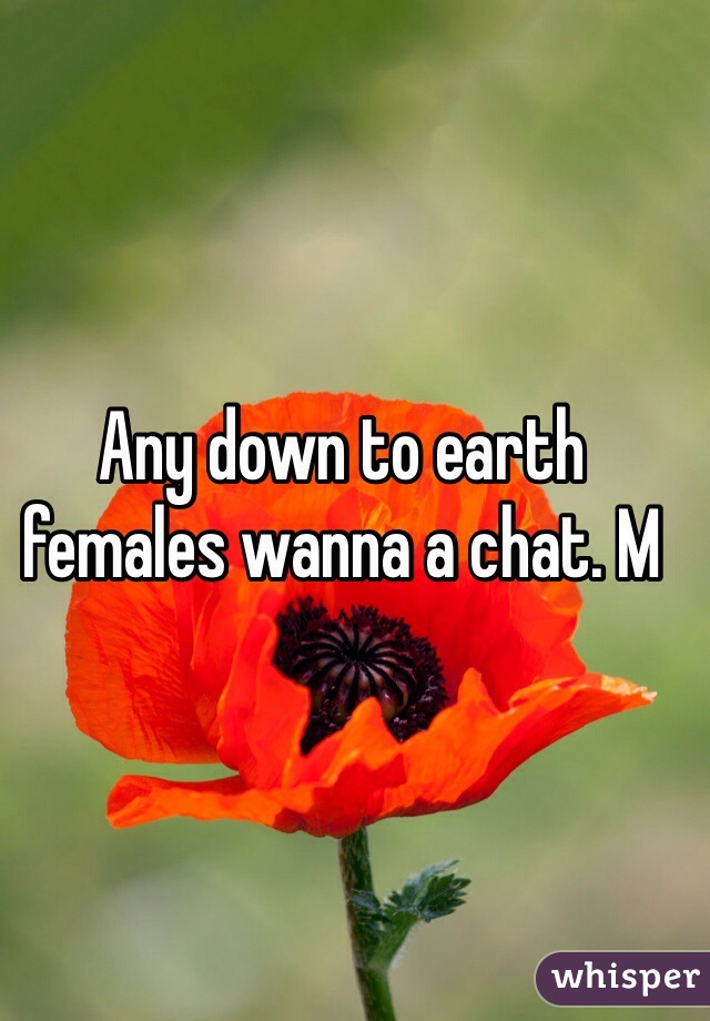 Any down to earth females wanna a chat. M