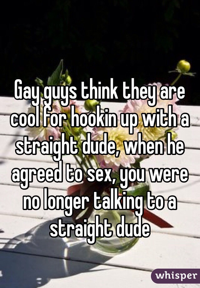 Gay guys think they are cool for hookin up with a straight dude, when he agreed to sex, you were no longer talking to a straight dude