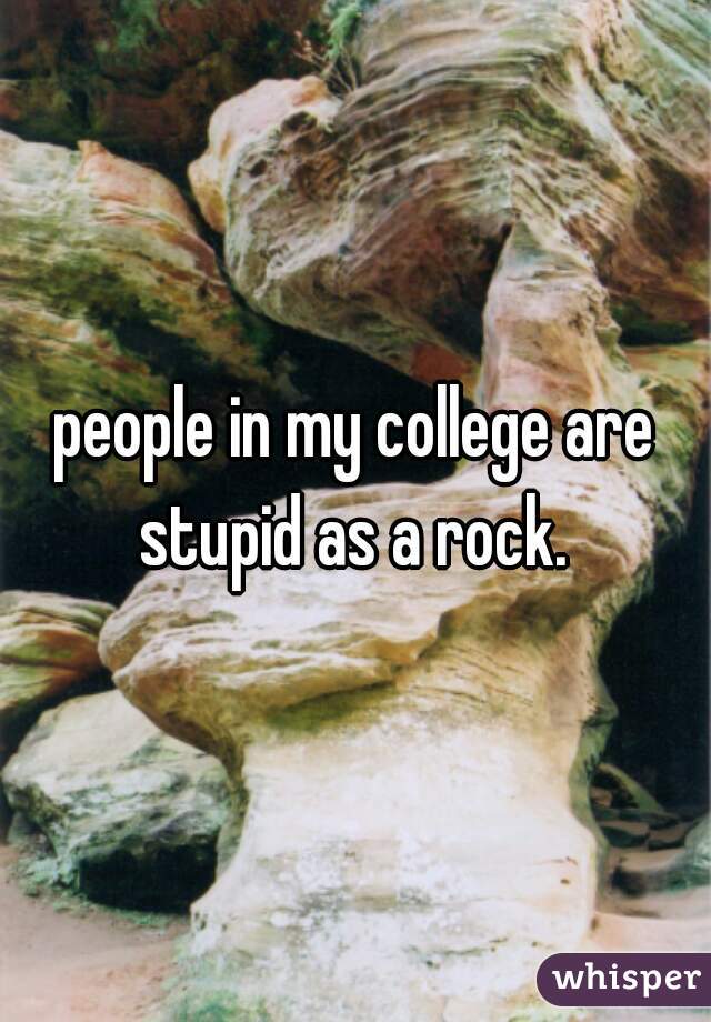 people in my college are stupid as a rock. 