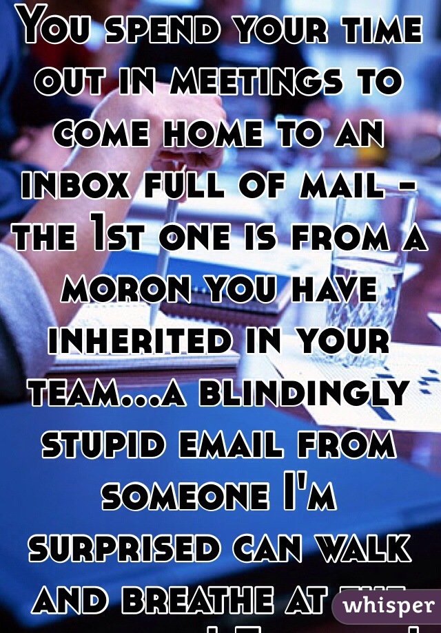 You spend your time out in meetings to come home to an inbox full of mail - the 1st one is from a moron you have inherited in your team...a blindingly stupid email from someone I'm surprised can walk and breathe at the same time! Fuck wit! 
