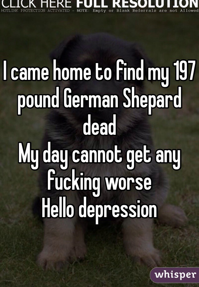 I came home to find my 197 pound German Shepard dead
My day cannot get any fucking worse
Hello depression
