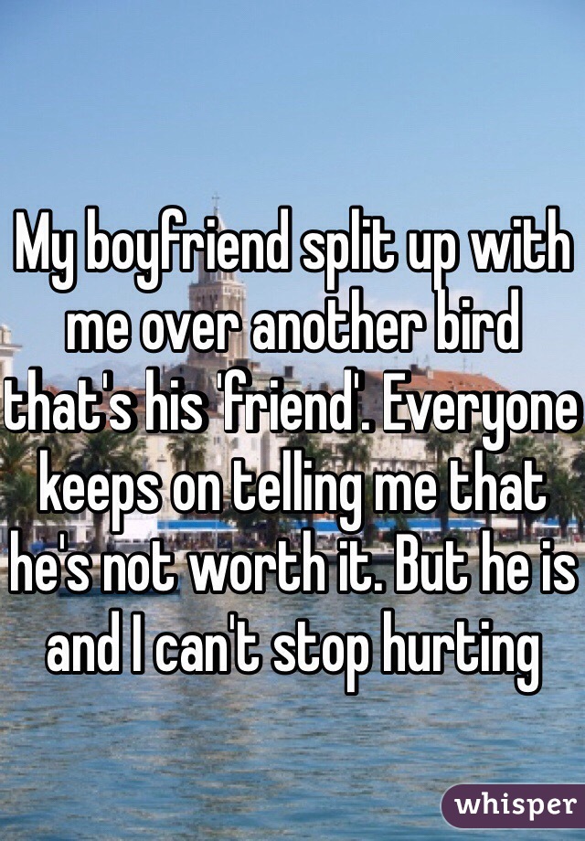 My boyfriend split up with me over another bird that's his 'friend'. Everyone keeps on telling me that he's not worth it. But he is and I can't stop hurting 