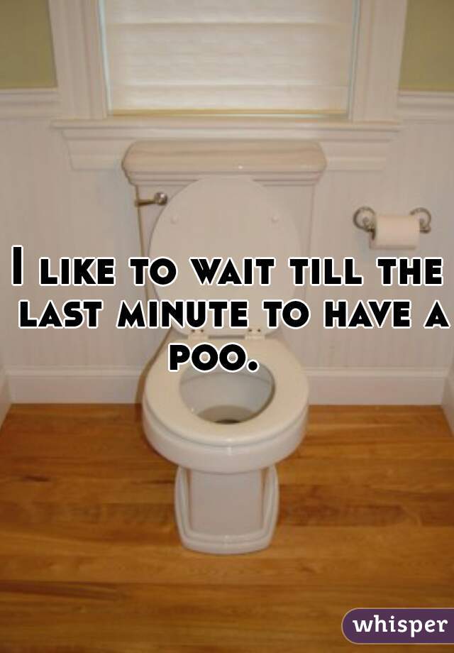 I like to wait till the last minute to have a poo.   