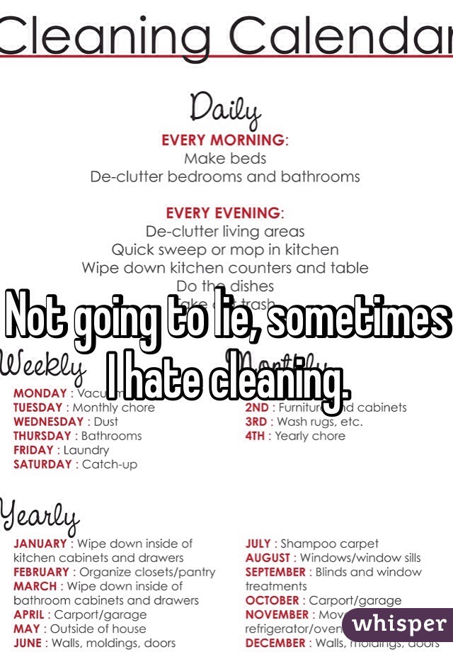 Not going to lie, sometimes I hate cleaning.