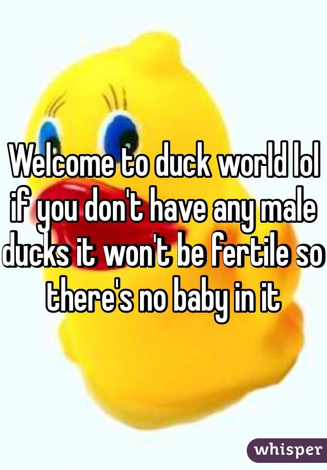 Welcome to duck world lol if you don't have any male ducks it won't be fertile so there's no baby in it