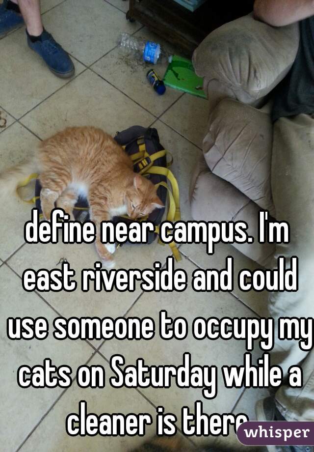 define near campus. I'm east riverside and could use someone to occupy my cats on Saturday while a cleaner is there.