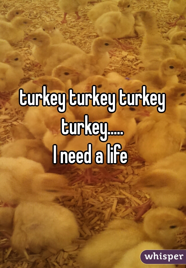 turkey turkey turkey turkey..... 









I need a life 