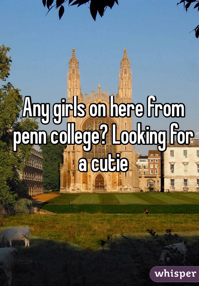 Any girls on here from penn college? Looking for a cutie 
