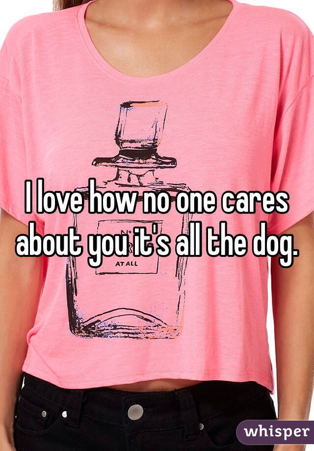 I love how no one cares about you it's all the dog. 