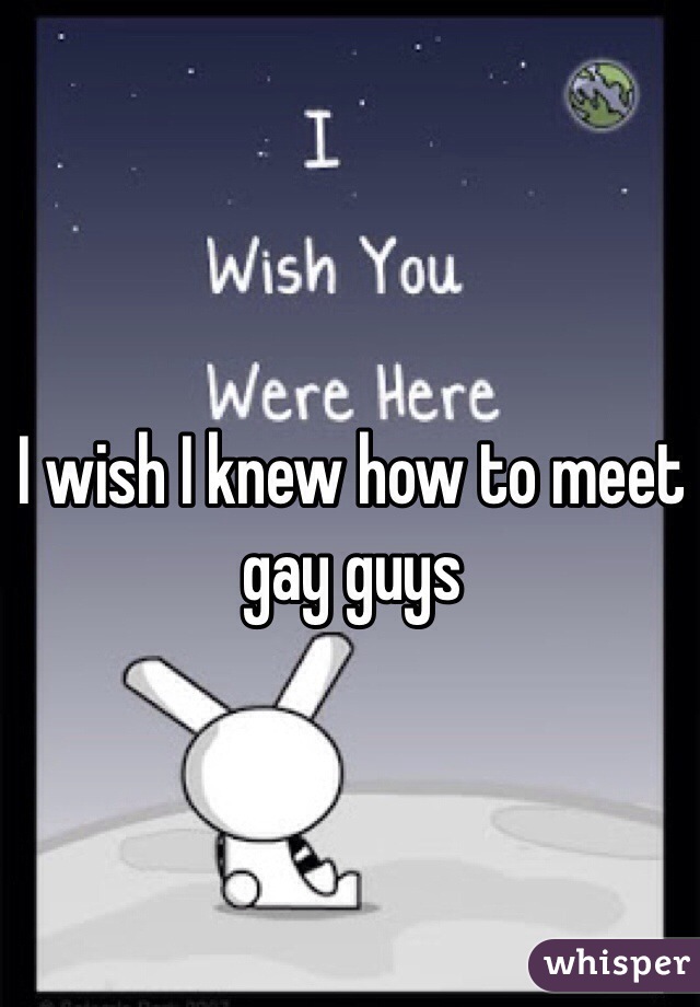 I wish I knew how to meet gay guys