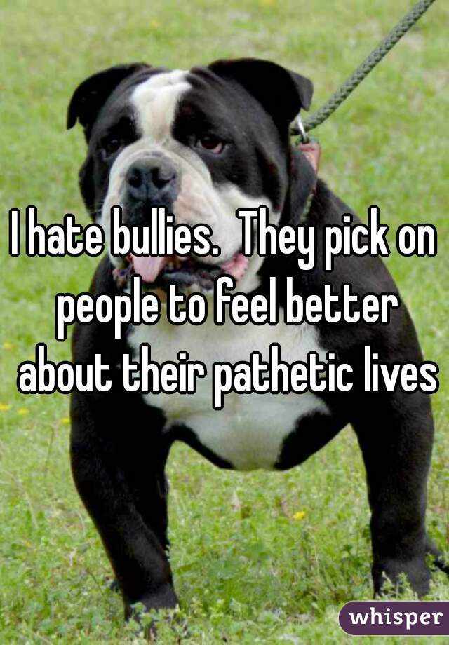 I hate bullies.  They pick on people to feel better about their pathetic lives