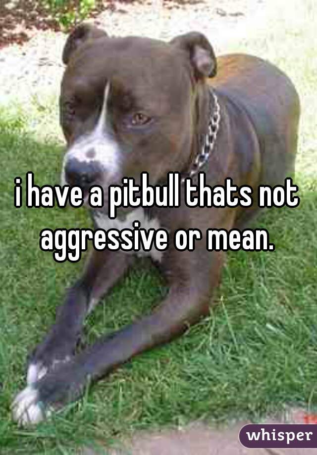 i have a pitbull thats not aggressive or mean. 