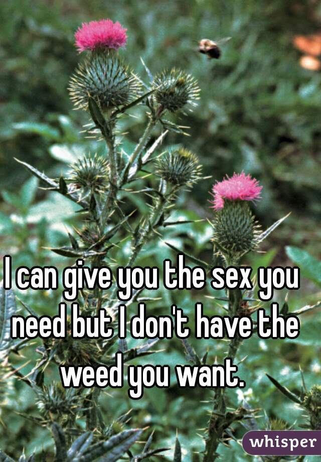 I can give you the sex you need but I don't have the weed you want. 