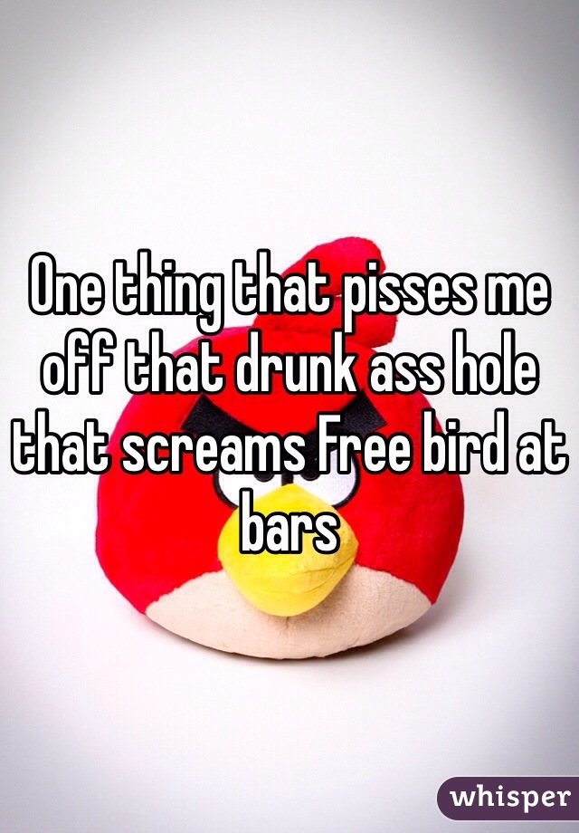 One thing that pisses me off that drunk ass hole that screams Free bird at bars 