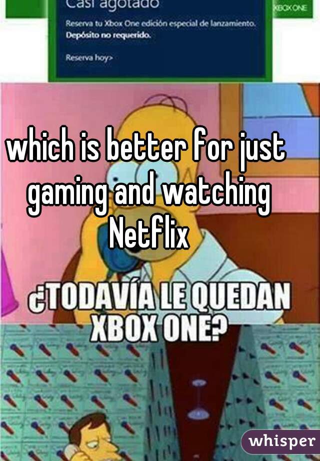 which is better for just gaming and watching Netflix