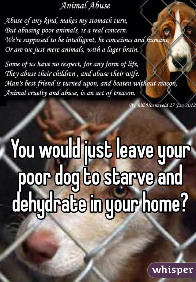 You would just leave your poor dog to starve and dehydrate in your home?