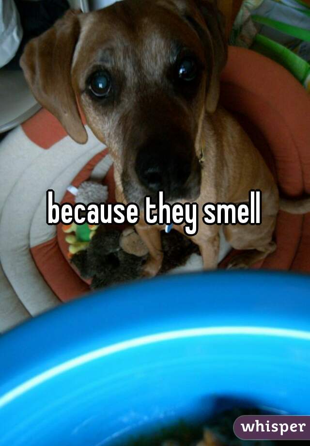 because they smell