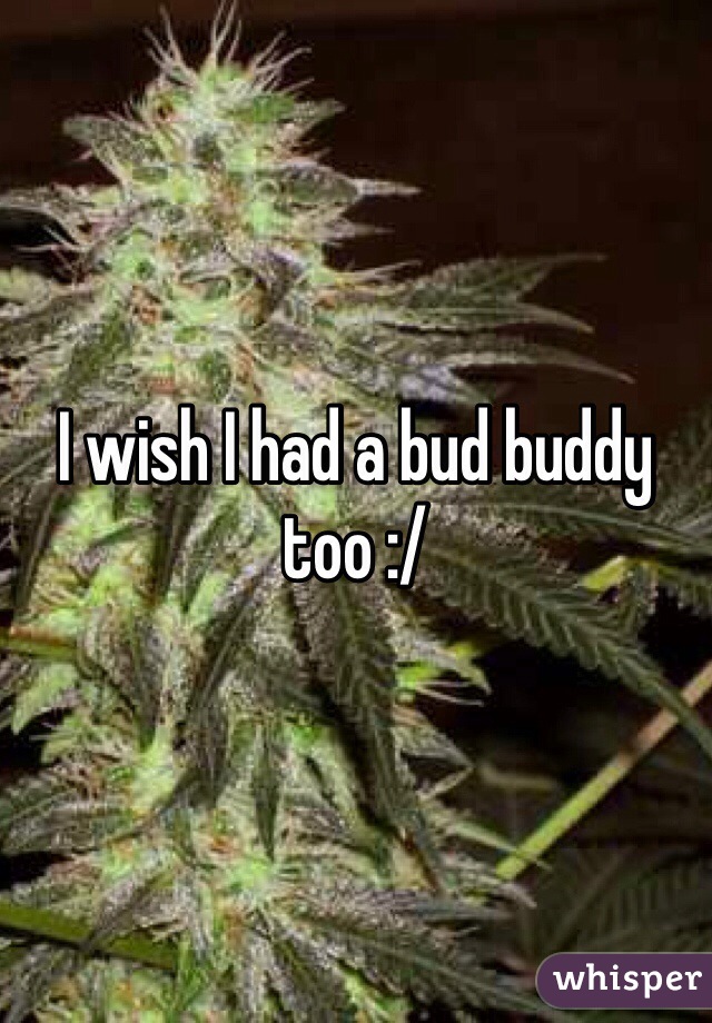 I wish I had a bud buddy too :/