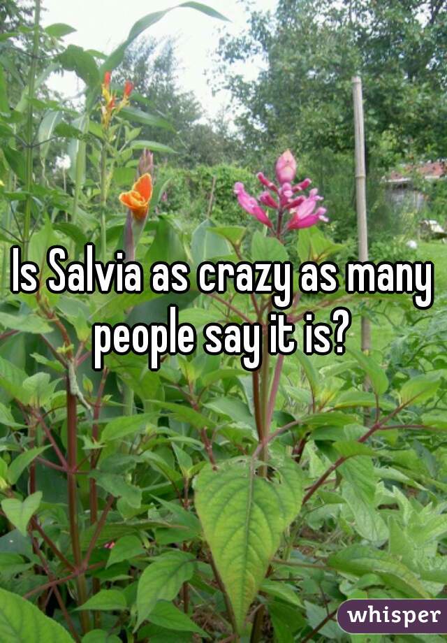 Is Salvia as crazy as many people say it is? 