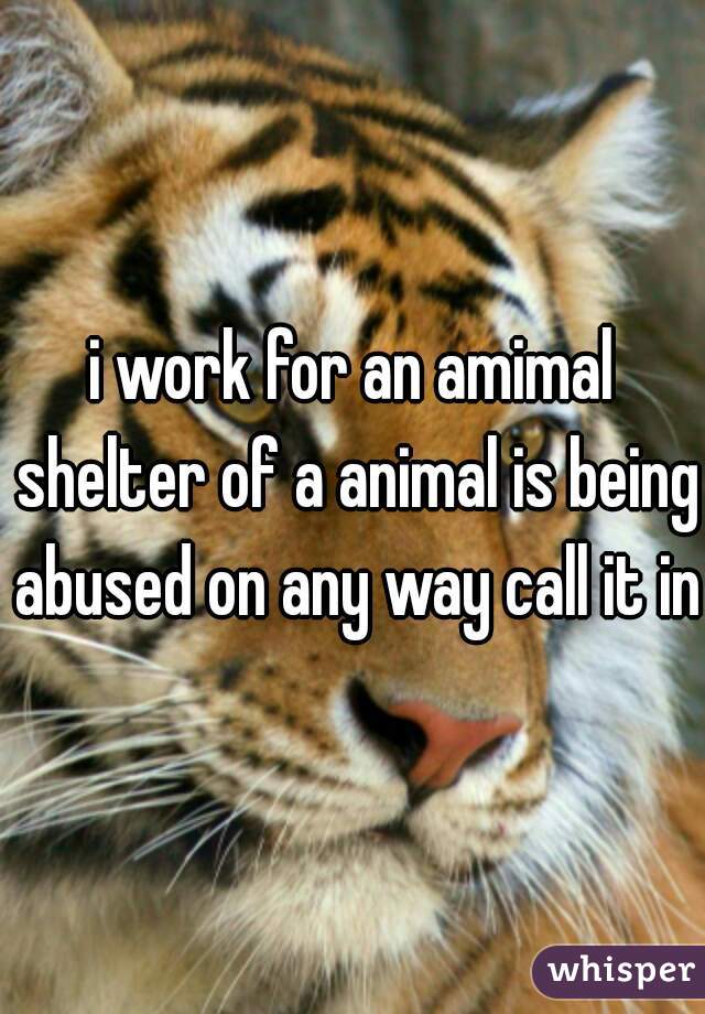 i work for an amimal shelter of a animal is being abused on any way call it in