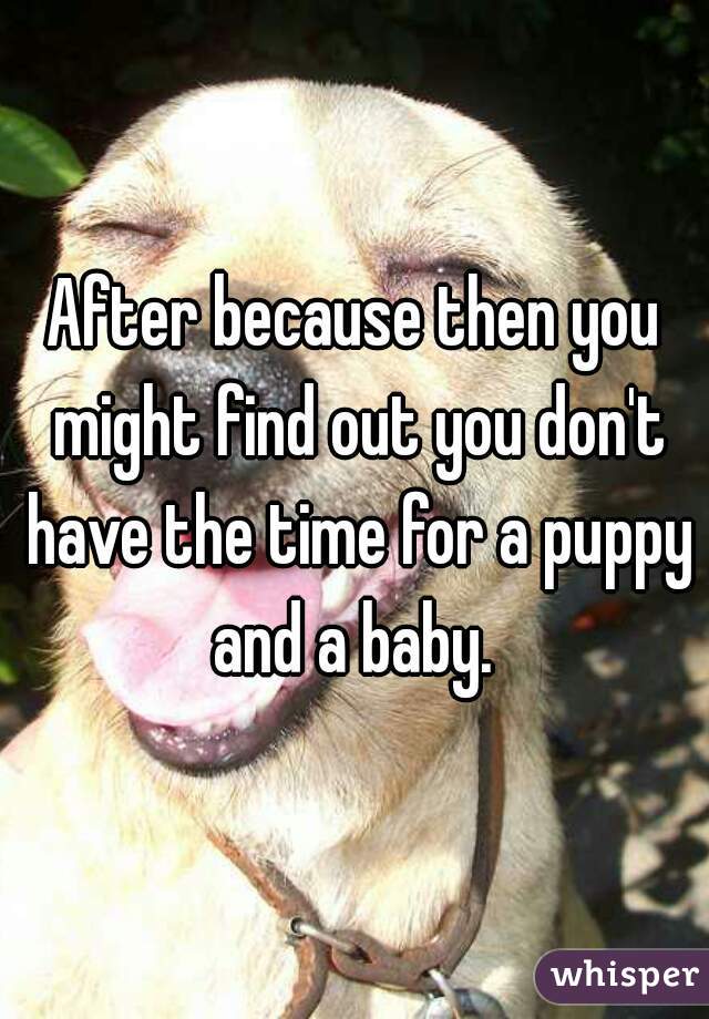 After because then you might find out you don't have the time for a puppy and a baby. 