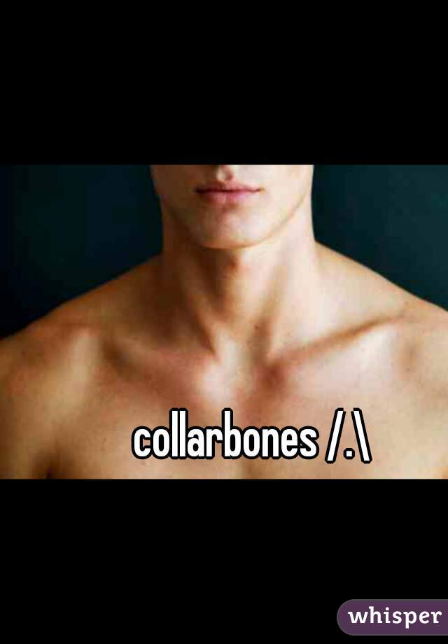 collarbones /.\ 