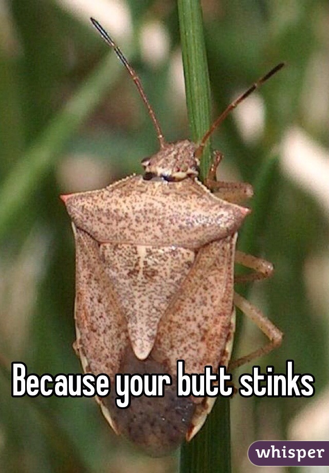 Because your butt stinks