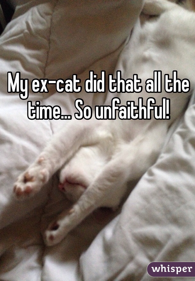 My ex-cat did that all the time... So unfaithful! 
