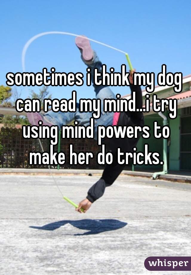 sometimes i think my dog can read my mind...i try using mind powers to make her do tricks.