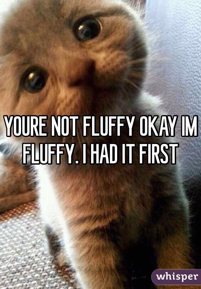 YOURE NOT FLUFFY OKAY IM FLUFFY. I HAD IT FIRST