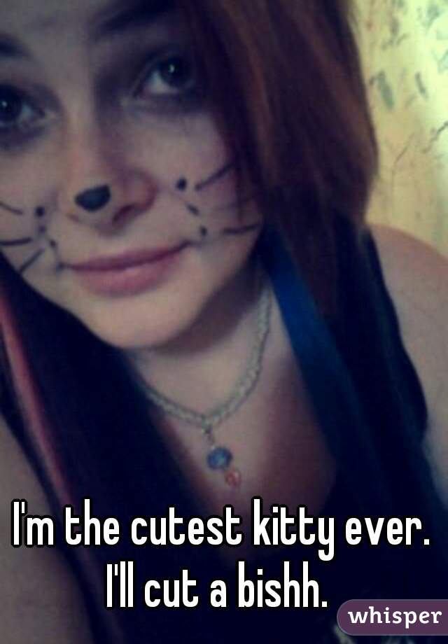 I'm the cutest kitty ever.
I'll cut a bishh. 