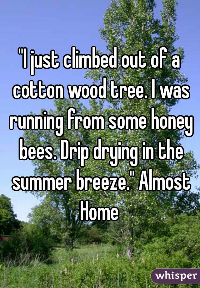 "I just climbed out of a cotton wood tree. I was running from some honey bees. Drip drying in the summer breeze." Almost Home 