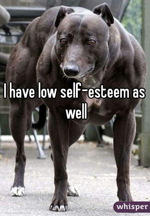 I have low self-esteem as well