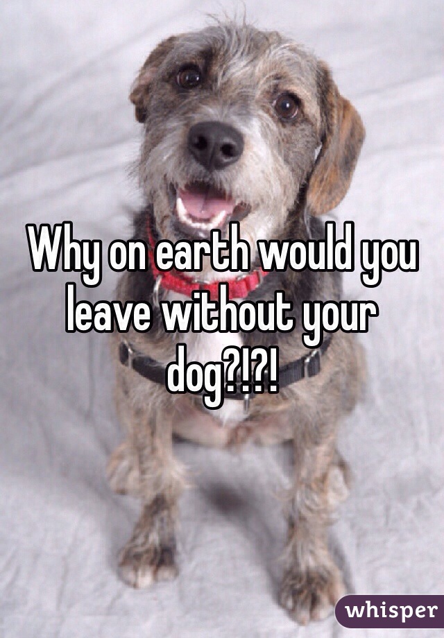 Why on earth would you leave without your dog?!?!