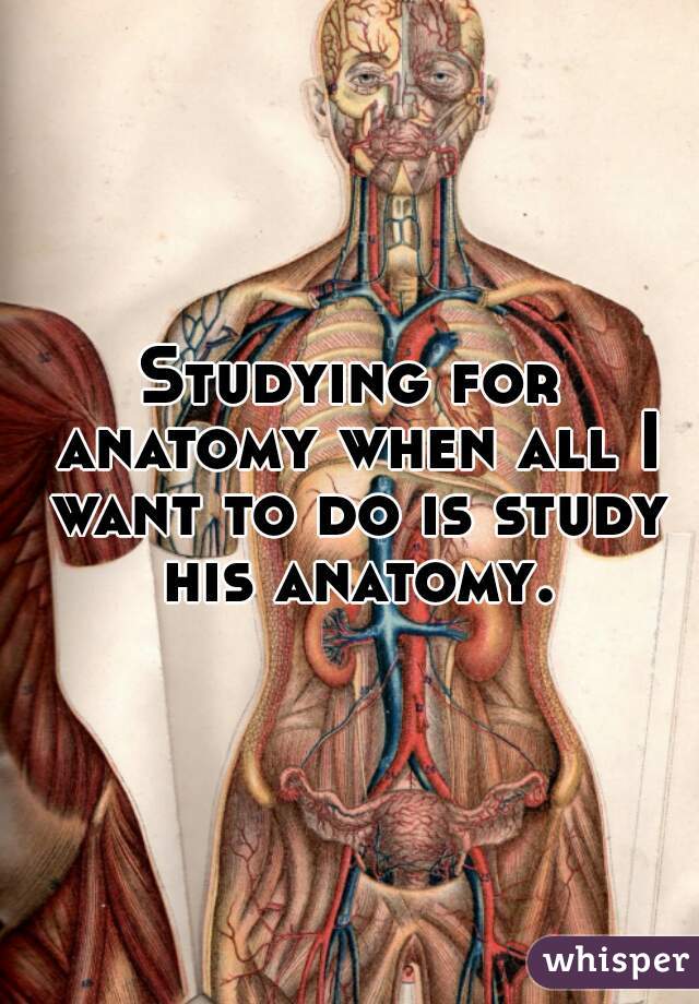 Studying for anatomy when all I want to do is study his anatomy.