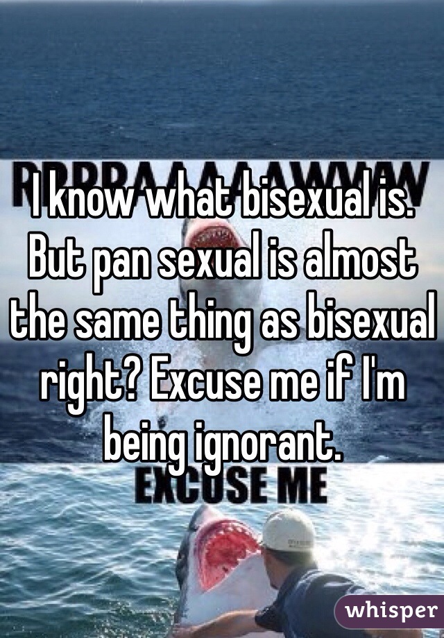 I know what bisexual is. But pan sexual is almost the same thing as bisexual right? Excuse me if I'm being ignorant.  