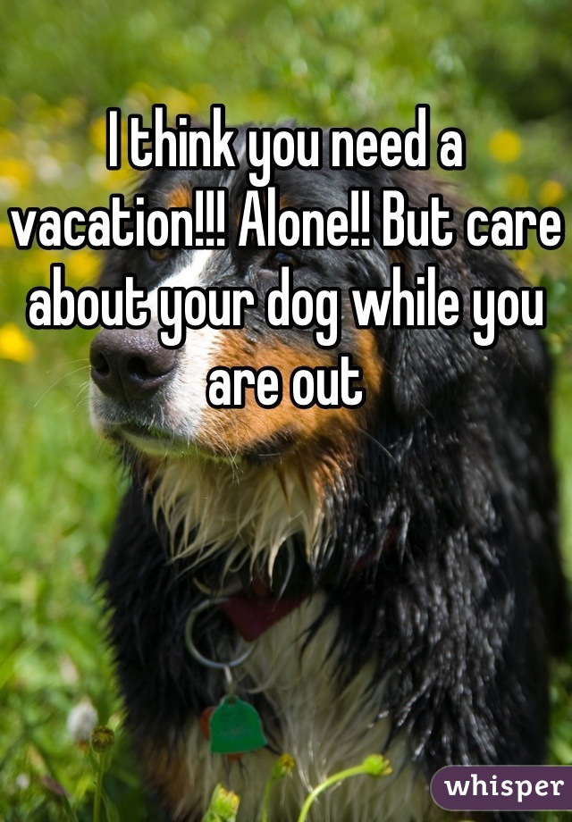 I think you need a vacation!!! Alone!! But care about your dog while you are out