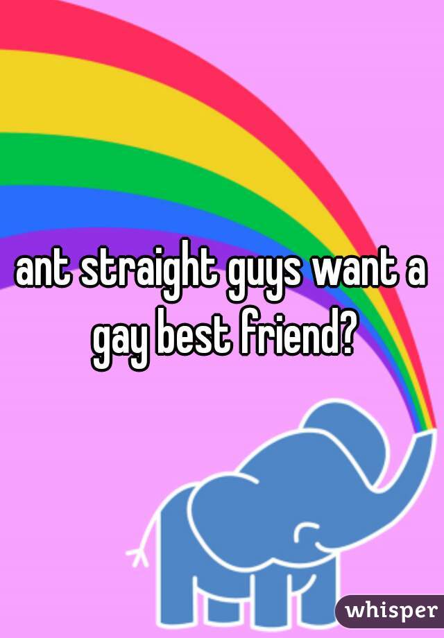 ant straight guys want a gay best friend?