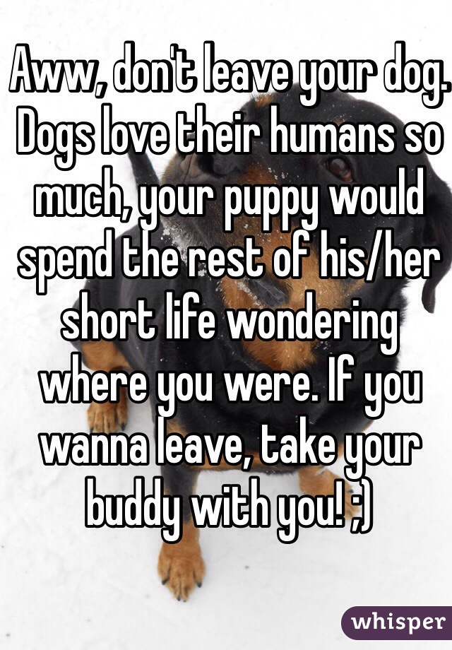 Aww, don't leave your dog. Dogs love their humans so much, your puppy would spend the rest of his/her short life wondering where you were. If you wanna leave, take your buddy with you! ;)