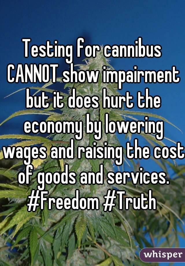 Testing for cannibus CANNOT show impairment but it does hurt the economy by lowering wages and raising the cost of goods and services. #Freedom #Truth 